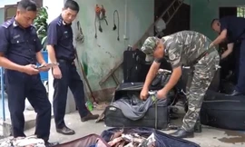 Phát hiện hơn 2,5 tấn xúc xích, lạp xưởng, trứng non nhập lậu 