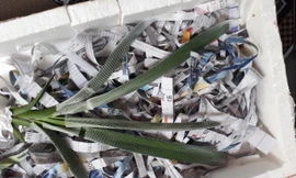 Mâu thuẫn mua bán lan, một bí thư Đảng uỷ xã đe dọa đối tác