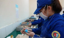 Chi tiết phương án phân phối pháo hoa hợp pháp, bắn cao trên 20 m do quân đội sản xuất 