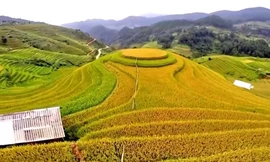 Tỉnh Lào Cai mới quyết tâm trở thành trung tâm du lịch của vùng Tây Bắc