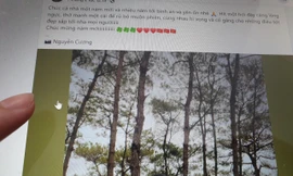 Xu hướng đơn giản hóa việc gửi lời chúc Tết vì dịch COVID-19