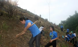 ĐVTN phủ xanh đất trống, đồi núi trọc tại Bắc Kạn. Ảnh: H.Y