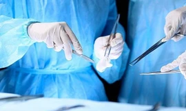 Ảnh minh họa: Internet