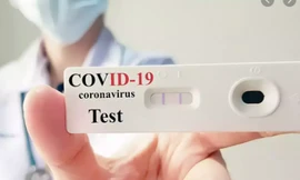 Ảnh minh họa: Internet