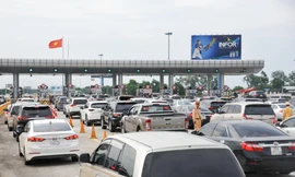 Ảnh minh hoạ: Internet