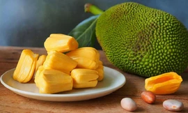 Ảnh minh họa: Internet