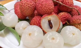 Ảnh minh họa: Internet