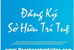 Đăng ký sở hữu trí tuệ - tài sản cần quan tâm nhất của doanh nghiệp