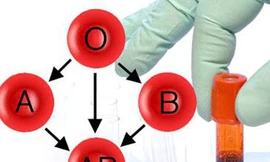 Nhóm máu O vẫn khan hiếm gay gắt