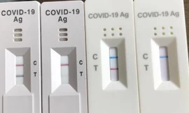 Nhiều sinh viên vừa nhập học được một tuần đã phải test nhanh 3-4 lần rất tốn kém. Ảnh: Đ.H