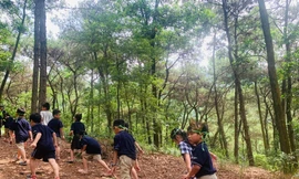 Nở rộ trại hè: ‘Đắt khách’ những khóa dạy kĩ năng sinh tồn, tham quan dã ngoại