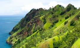 Quốc gia nào trẻ nhất Đông Nam Á?