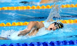 Kình ngư trẻ Việt Nam tạo 'mưa vàng' tại giải bơi Đông Nam Á