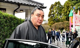 Harumafuji Kohe.