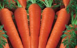 Những loại vi chất sánh ngang viagra