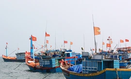 Đội tiên phong trên biển