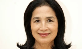 Khi văn nghệ sỹ là đại biểu quốc hội