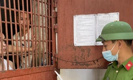 Người bị tạm giam, tạm giữ bỏ phiếu bầu cử thế nào?