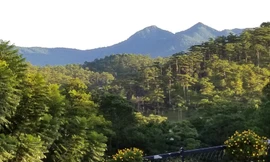 Không mở rộng không gian đô thị TP Đà Lạt trước năm 2026 