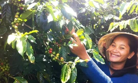 Lâm Đồng: Giảm nghèo bền vững ở nơi có tỷ lệ người dân tộc thiểu số cao nhất 