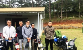 Bắt nhóm lâm tặc tàn phá rừng phòng hộ ở Đà Lạt