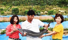 Hỗ trợ toàn diện cho người nghèo ở xã vùng sâu Đạ Tông