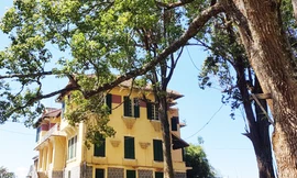 Dinh Tỉnh trưởng cũ bị loại khỏi nhóm ‘điển hình về kiến trúc’ ở Đà Lạt 