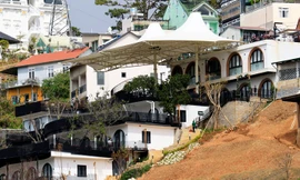 Nhiều doanh nghiệp ở Lâm Đồng bị tước giấy phép hoạt động