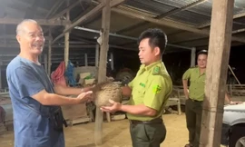 Người dân giao nộp con tê tê ‘khủng’ cho Vườn quốc gia Cát Tiên