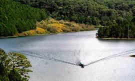 Lâm Đồng không chấp thuận lập dự án thủy điện tích năng ở hồ Tuyền Lâm