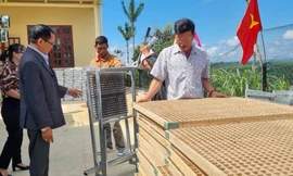 Trao hàng trăm phương tiện sinh kế cho hộ nghèo vùng đồng bào dân tộc thiểu số 