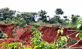 Đẩy nhanh tiến độ di dân vùng sạt lở, ổn định dân di cư tự do 