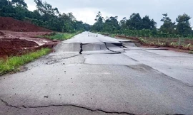 Lập đoàn kiểm tra tình trạng ngập lụt, sạt lở đất ở Lâm Đồng và Đắk Nông