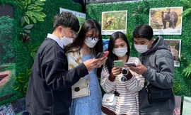 Giới trẻ Đà Lạt hào hứng trải nghiệm cà phê Sơn dã