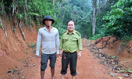 Có hay không chuyện hổ xuất hiện trên rẫy cà phê ở Lâm Đồng?