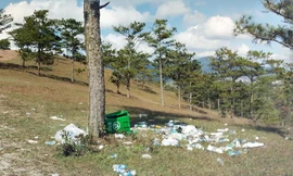 Xả rác vô tội vạ trên đồi thông, điểm ‘săn mây’ Đà Lạt