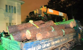 Tang vật của vụ cưa hạ thông trong Khu du lịch quốc gia hồ Tuyền Lâm