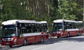 Lâm Đồng: Một xe khách vi phạm tốc độ 509 lần/tháng