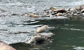 Phát hiện thi thể nam giới mắc kẹt tại tảng đá trên sông Đạ Huoai ở Lâm Đồng