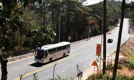 Lâm Đồng cho phụ thu vé xe tối đa 60% dịp Tết Nguyên đán 