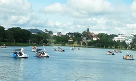 Lượng khách thấp hơn nhiều so với dự kiến, Đà Lạt tìm lại nét mộng mơ