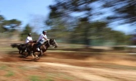 Xé gió về đích trong cuộc đua ngựa không yên. Ảnh: Võ Trang