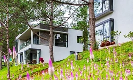 Nhiều thủ đoạn lừa đảo, chiếm đoạt tiền đặt cọc thuê khách sạn ở Đà Lạt