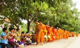 Đoàn tăng sĩ đi khất thực ở Luang Prabang