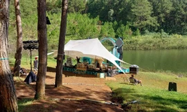 Buộc dừng các đêm nhạc không phép tổ chức giữa rừng thông Đà Lạt