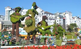 Một Đà Lạt trông khác lạ