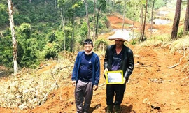 Vụ triệt hạ hàng trăm cây rừng, chôn lấp phi tang: Bắt kẻ chủ mưu