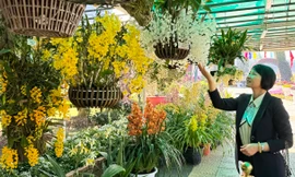 Hội hoa xuân rực rỡ nhất Đà Lạt