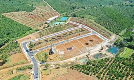 Đồi chè bị băm nát, phân lô 