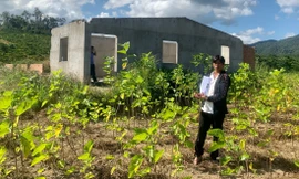 Bắt đối tượng tháo dỡ nhà hàng xóm bán sắt vụn